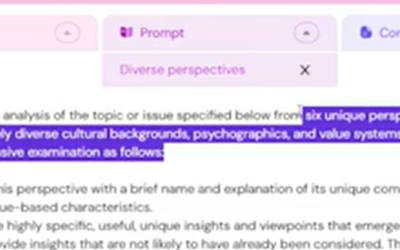 Walkthrough of generating diverse perspectives